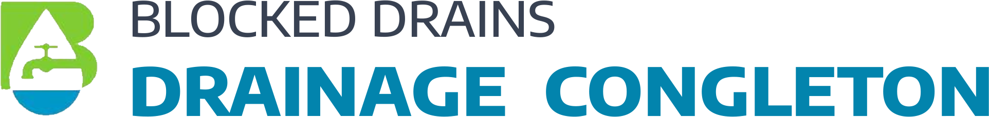 website logo